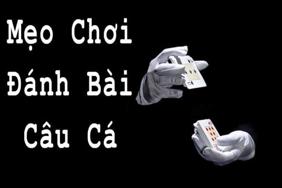 Kinh nghiệm chơi bài câu cá luôn thắng