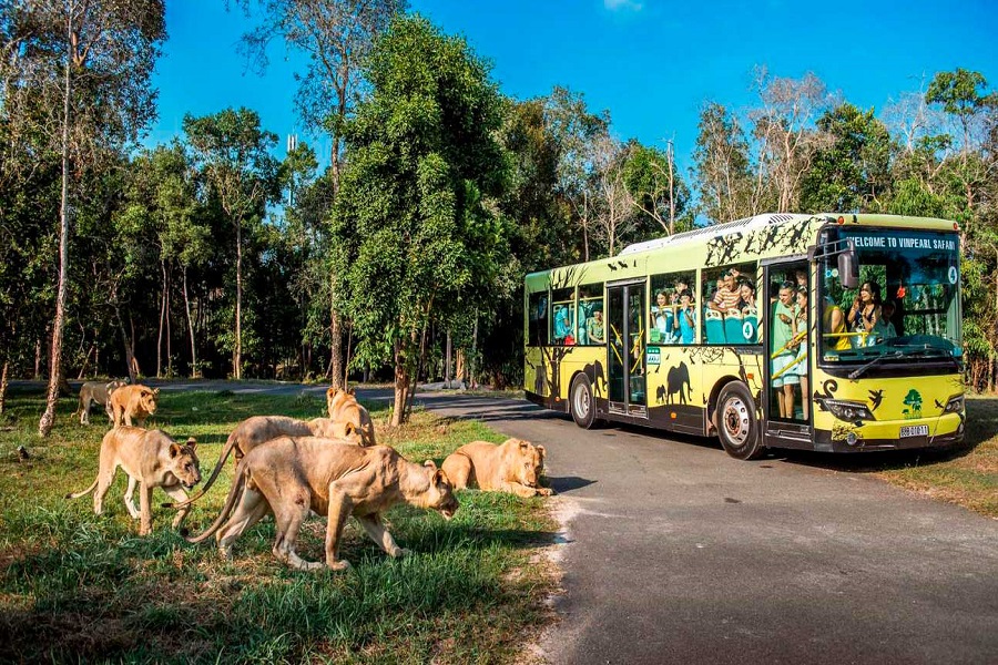 Vườn bảo tồn động vật bán hoang dã Safari 