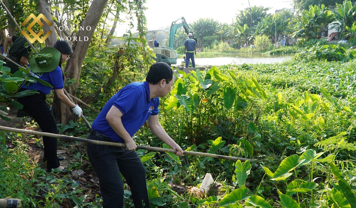 Dự án tái tạo môi trường